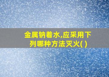 金属钠着水,应采用下列哪种方法灭火( )